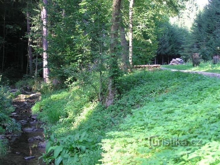Vallée de Klopotov - ruisseau Bohdašínský