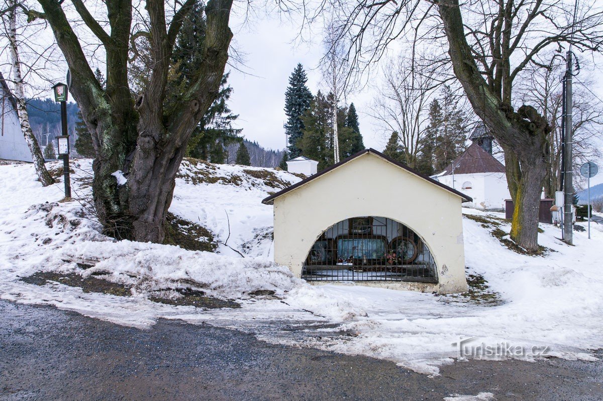 Lindenstamm und Kapelle