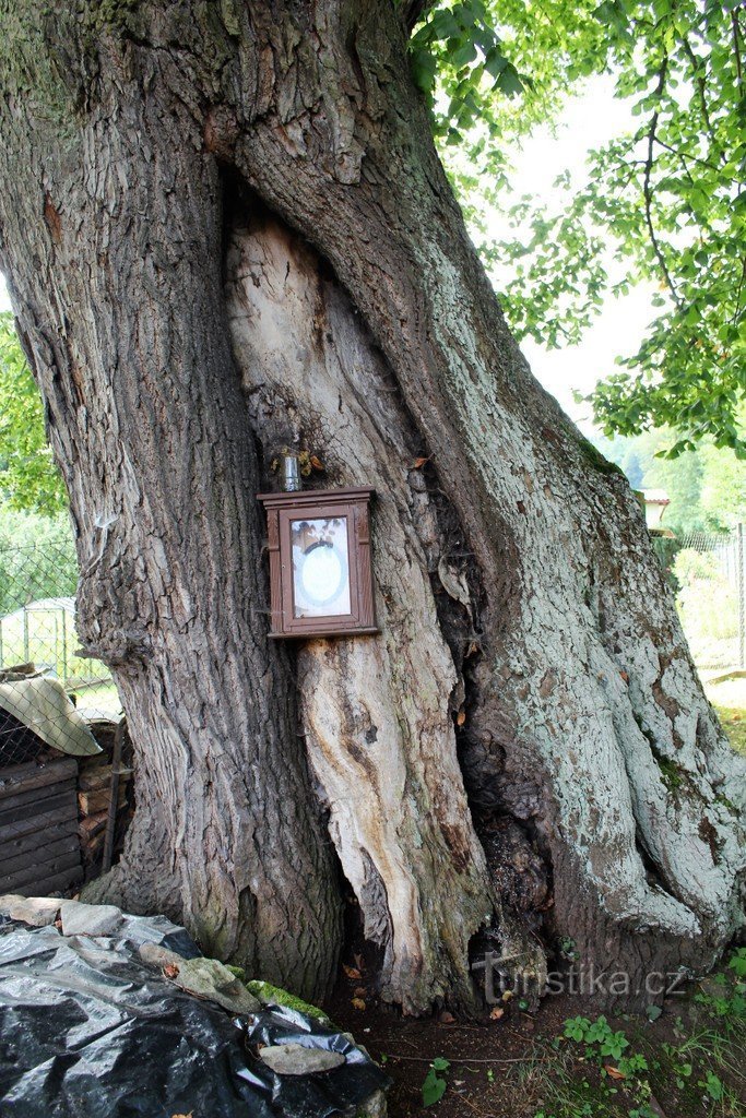 Baú Linden em Bajčiů