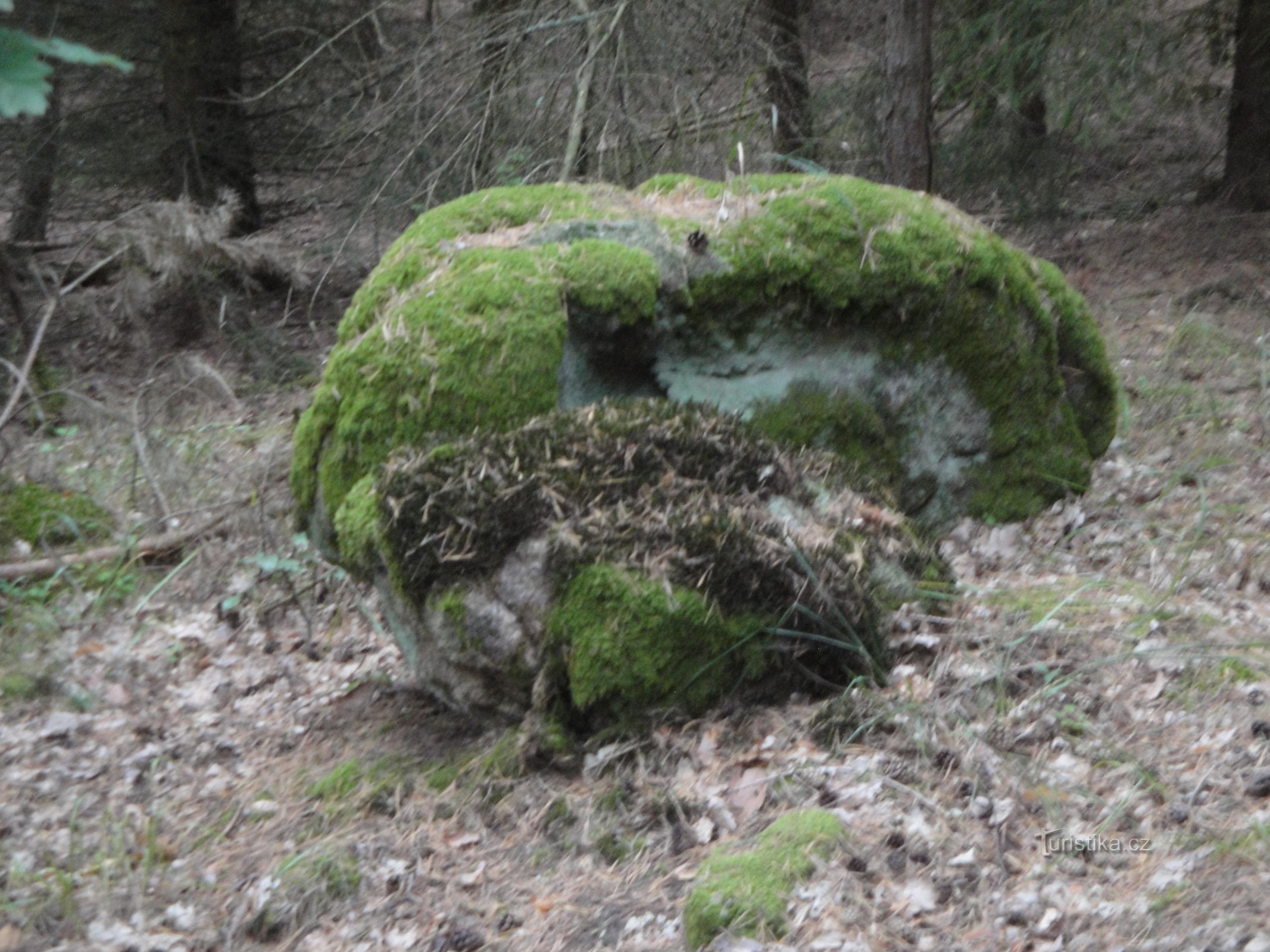 Svećenička planina