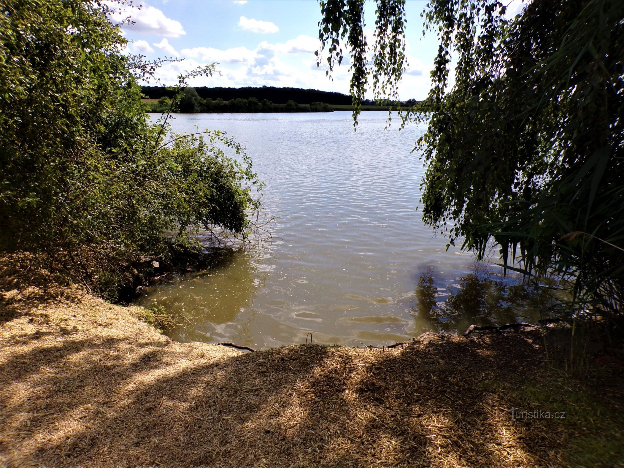 Kněžský rybník (Stará Voda, 11.8.2021)
