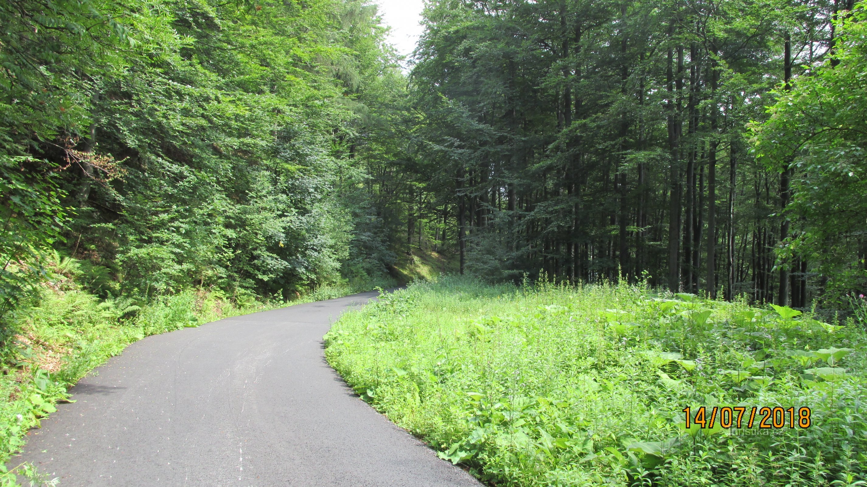 Sur la route princière de Trojanovice à la selle de Pustevna