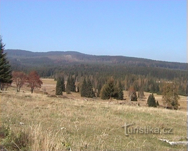 Дюкальські рівнини