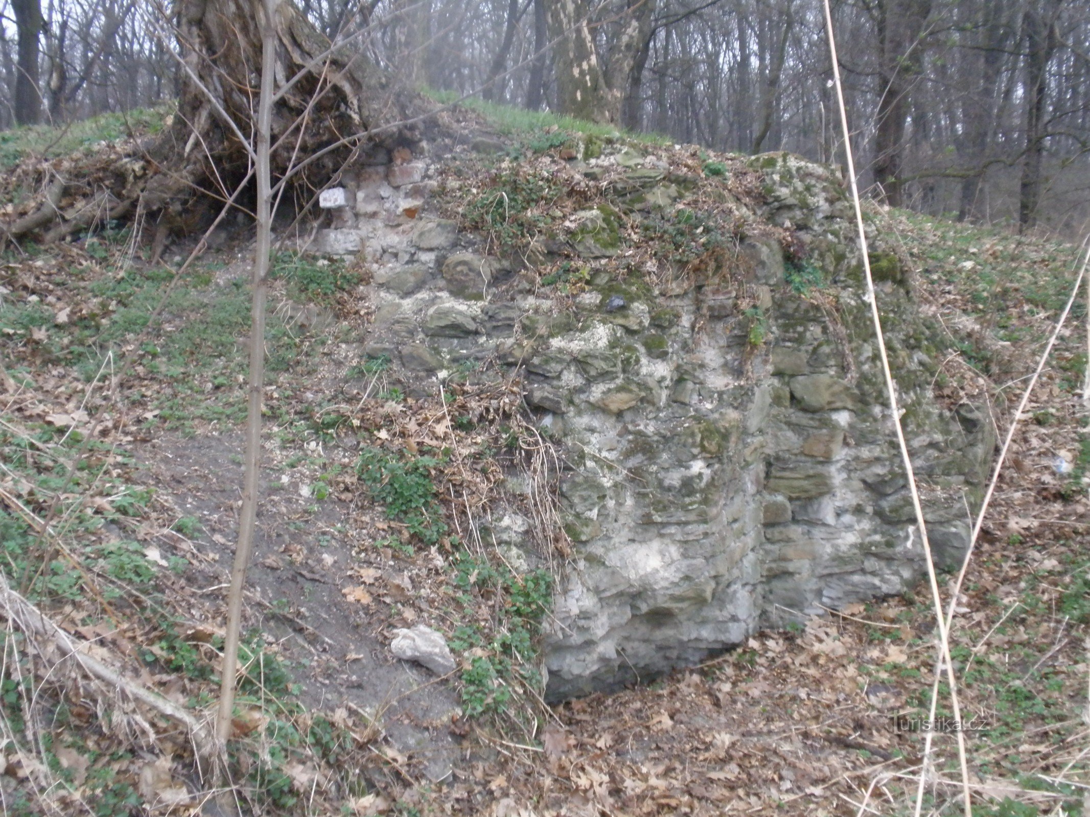 Koblov, Landek, die Überreste der Burg