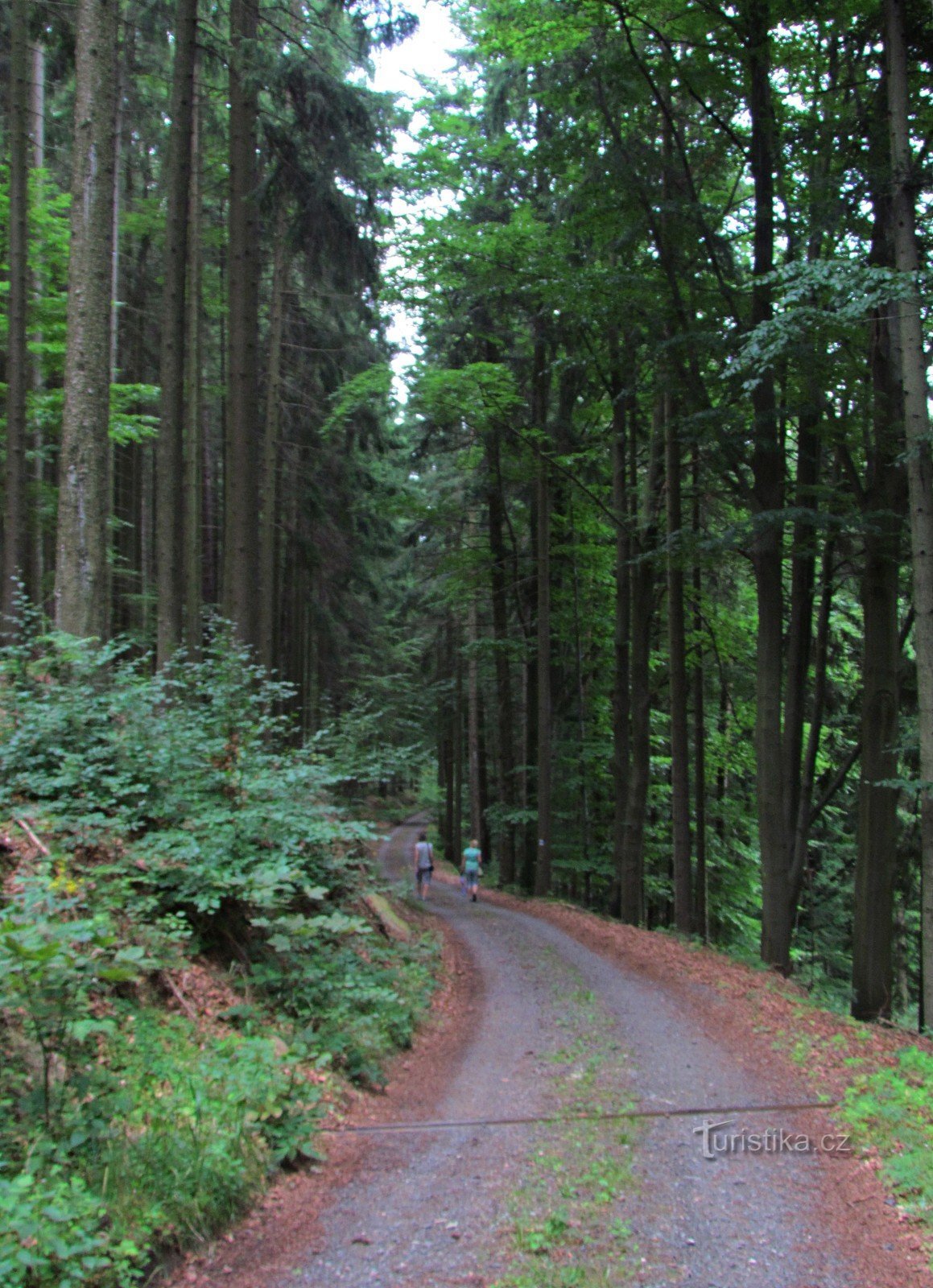 Kobylí důl - Cascades of Čerňovický potok