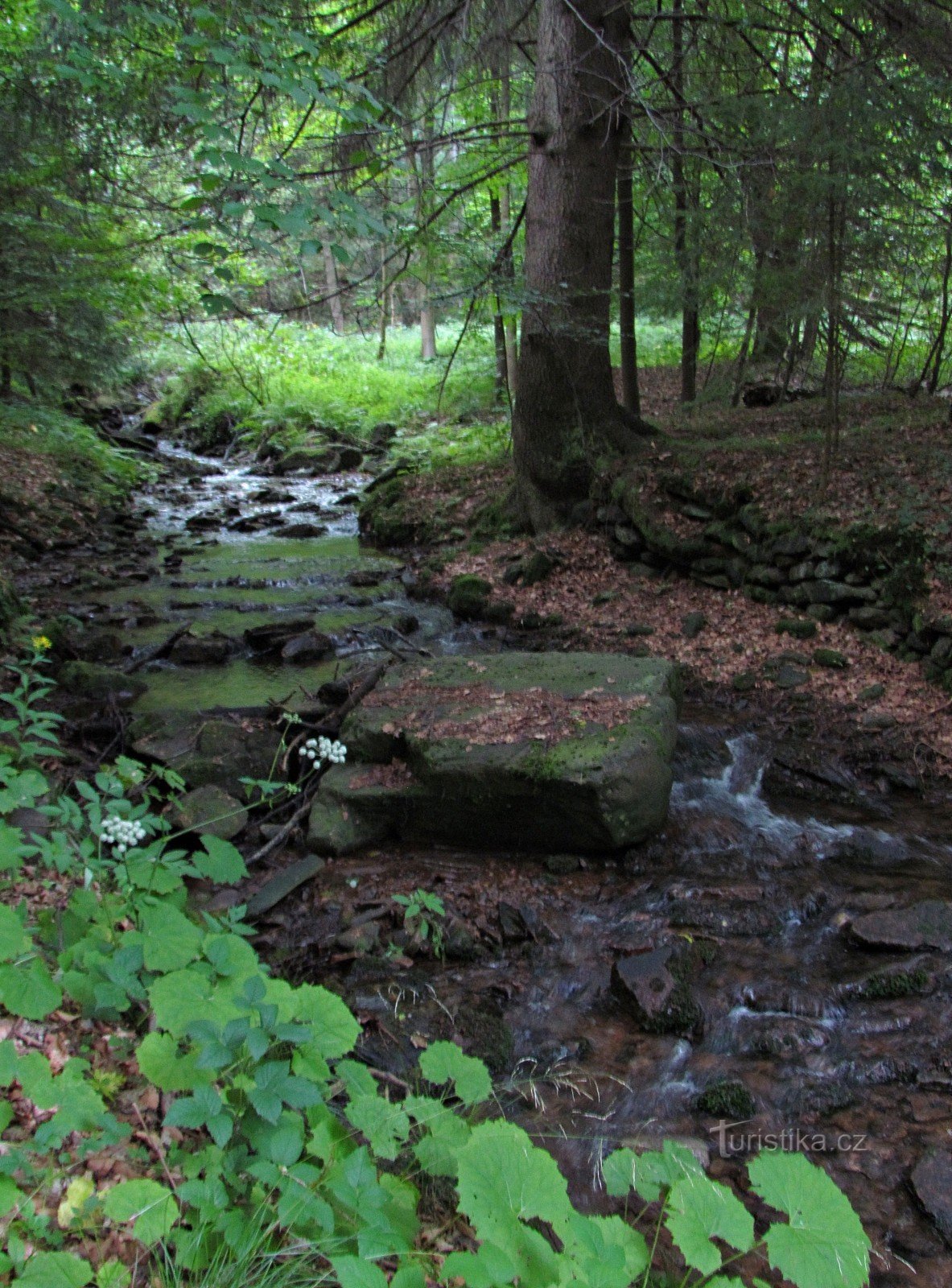 Kobylí důl - Cascades de Čerňovický potok