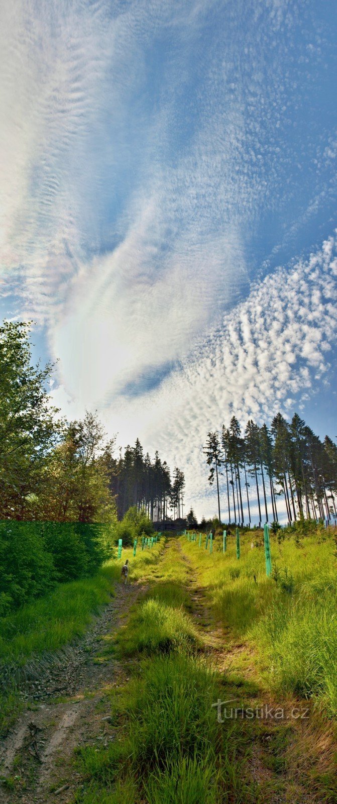 Kobylí hora boven Jiřická klauzura - Novohradské Hory