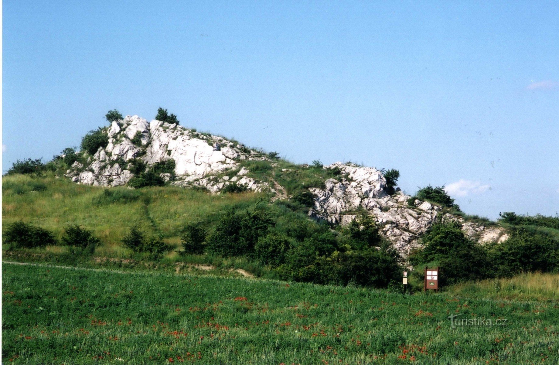 Roca de gato