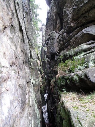 Rocce di gatto