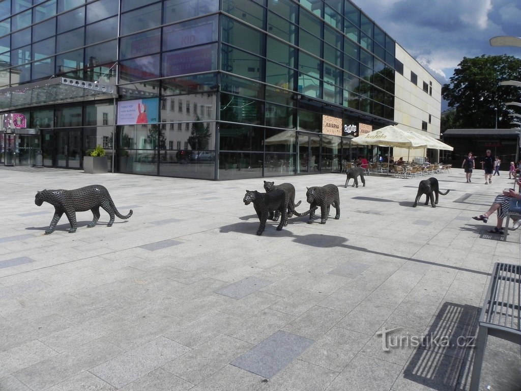 Gatos en la Plaza de la República