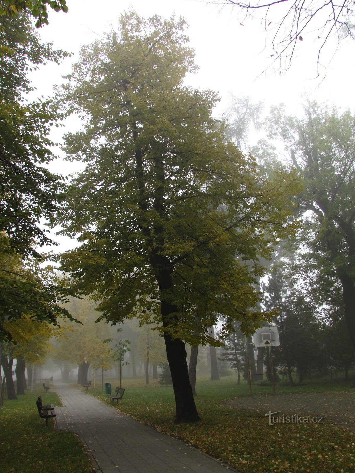 Kojetín - ulica Palackého in sinagoga