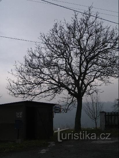 Kojkovice : arrêt de bus
