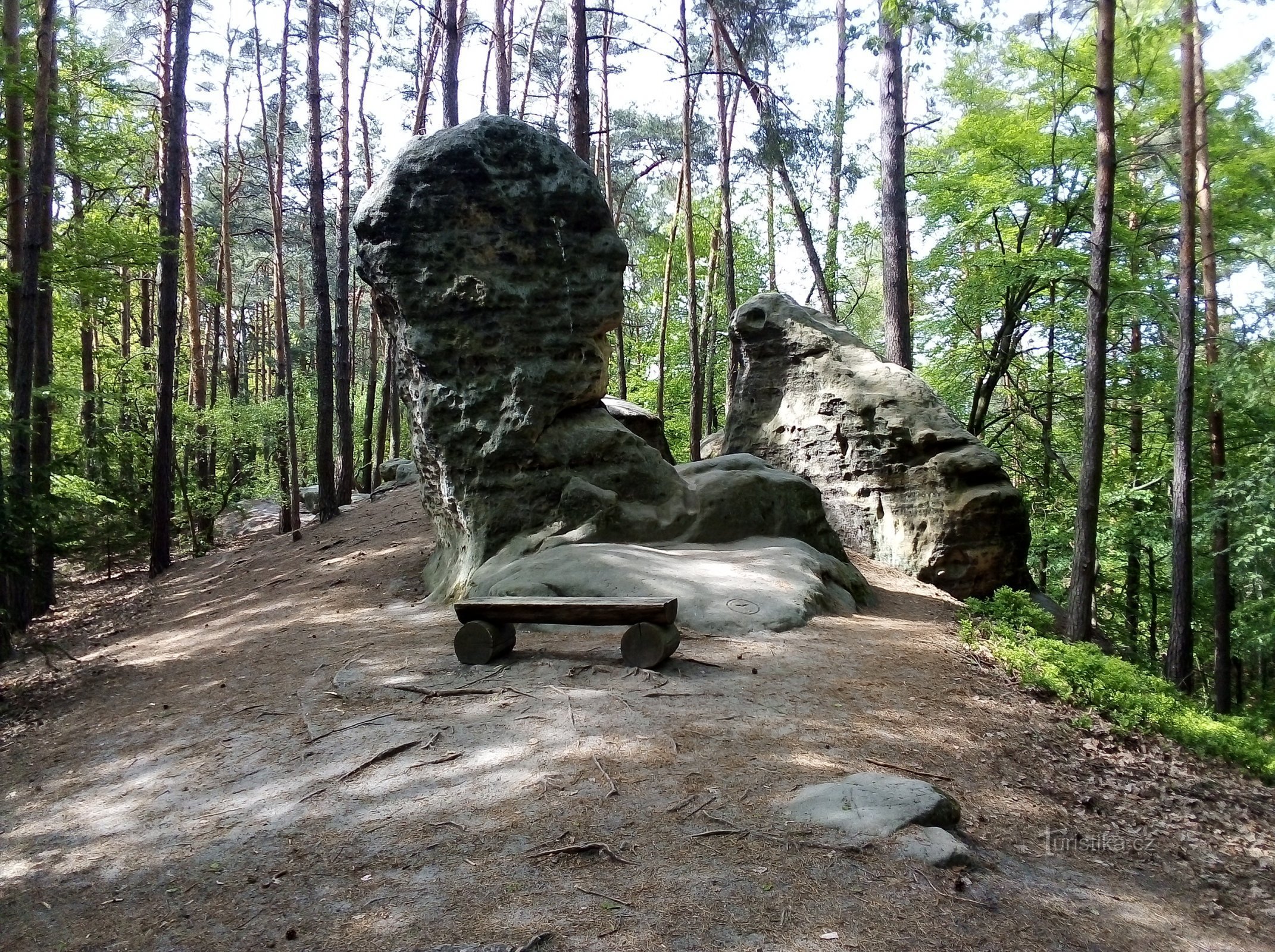 Kokořínské vovikky - burrone Apatyka