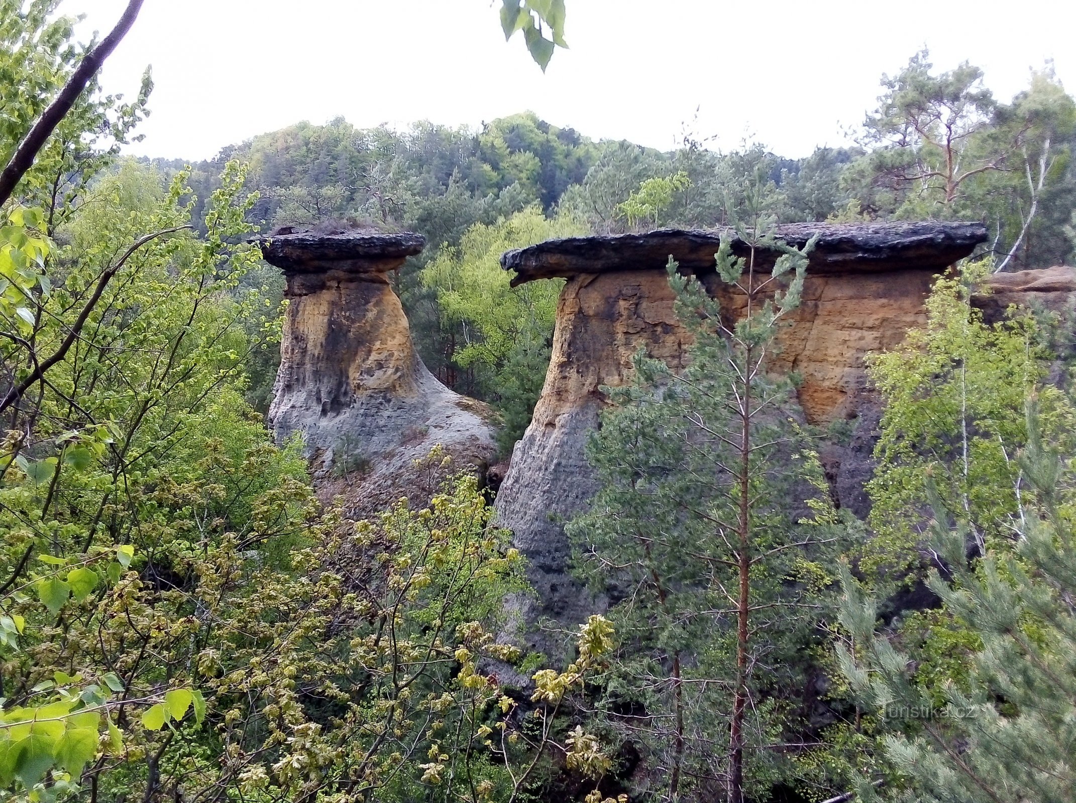 Kokořínské vovikky - barranco Apatyka