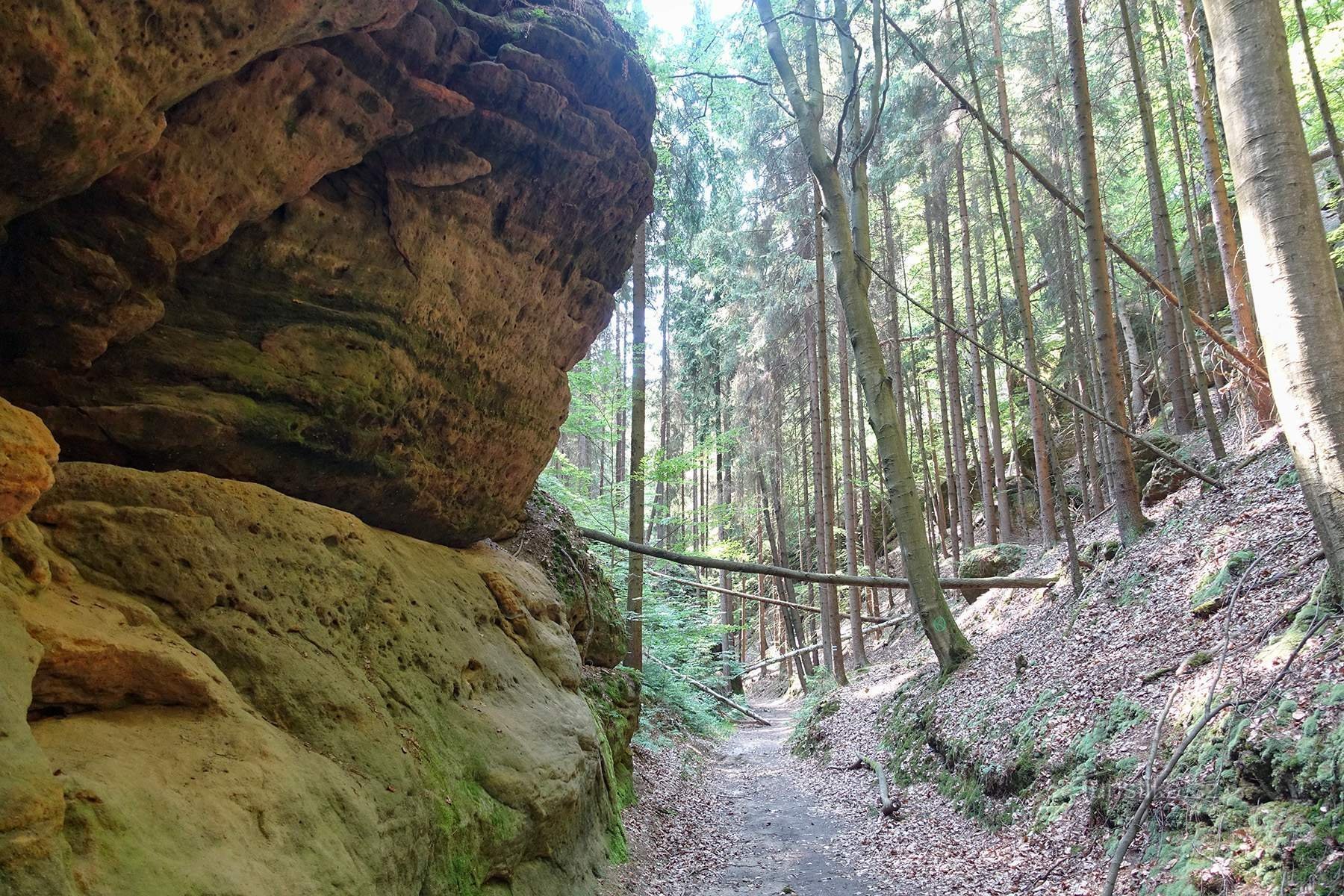 Kokořínské vovikky - ravine Apatyka