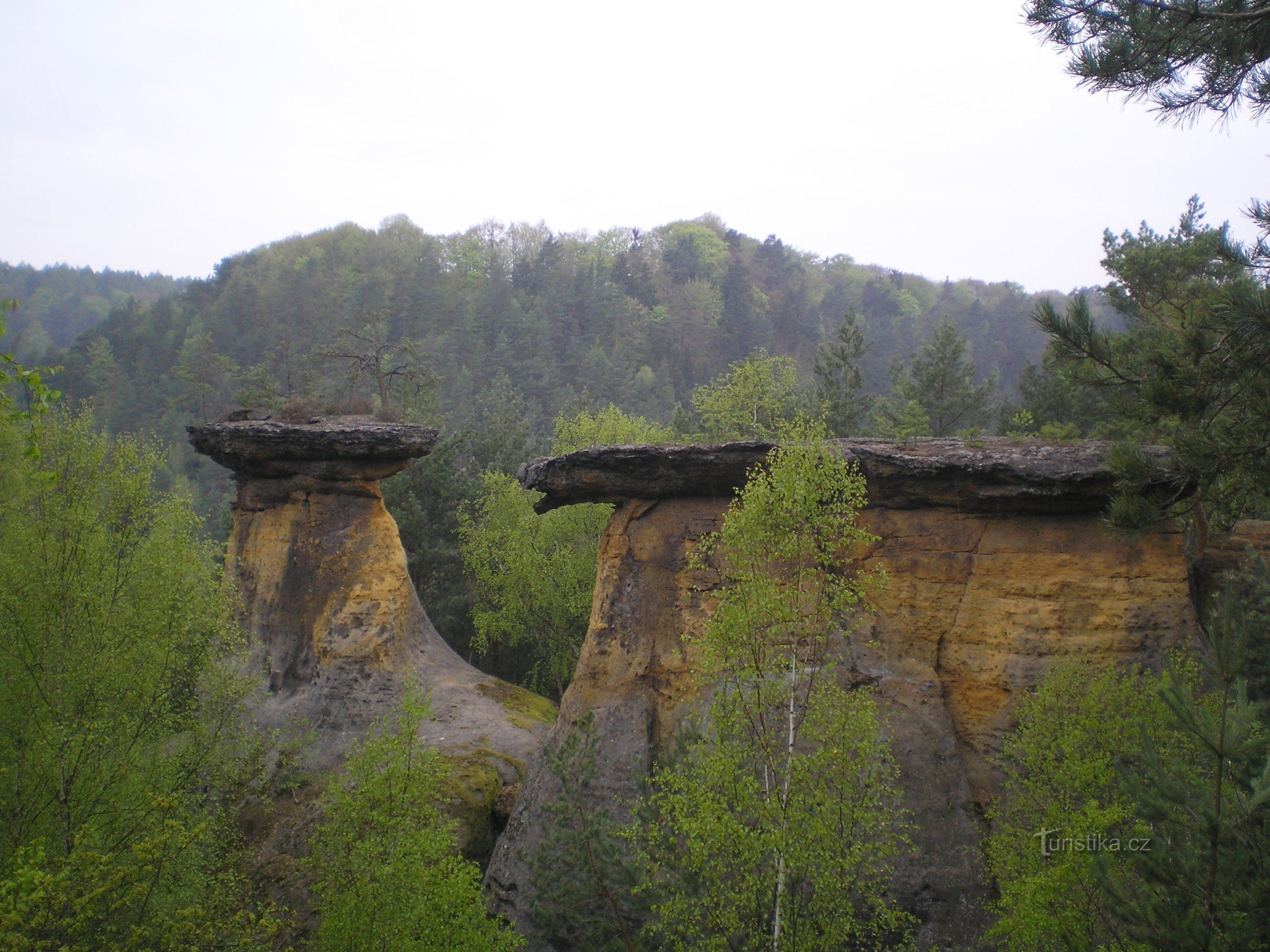 Кокоринське