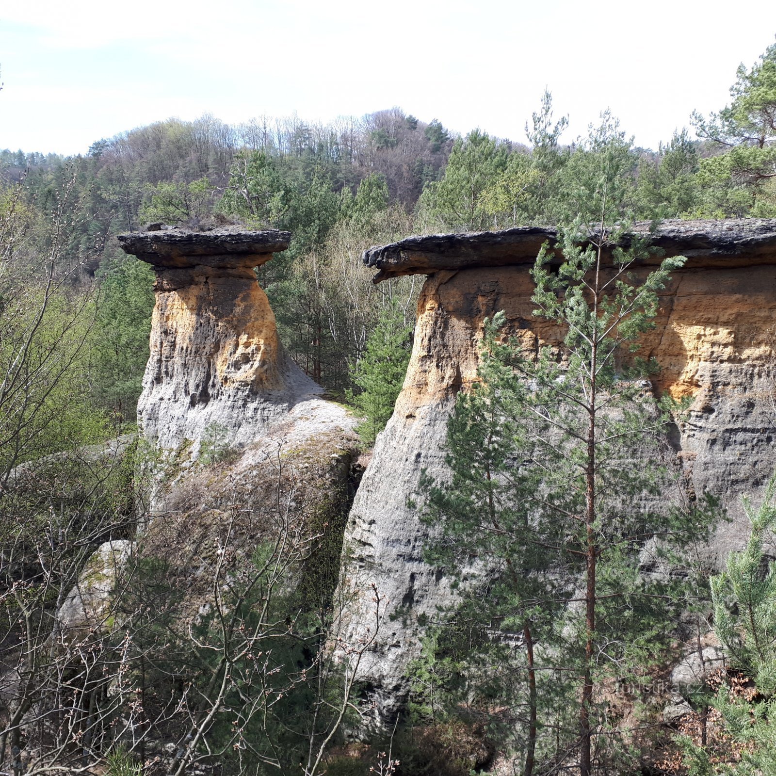 Coperchi Kokořínsko