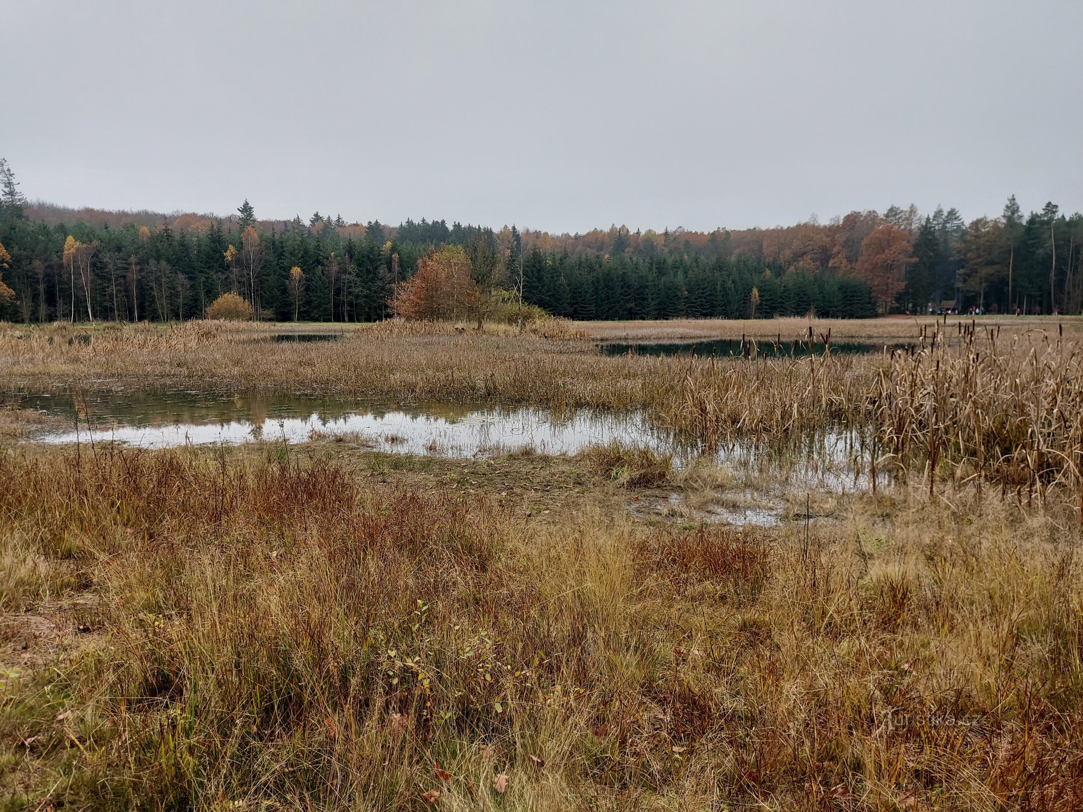 Lagoa Kokotský