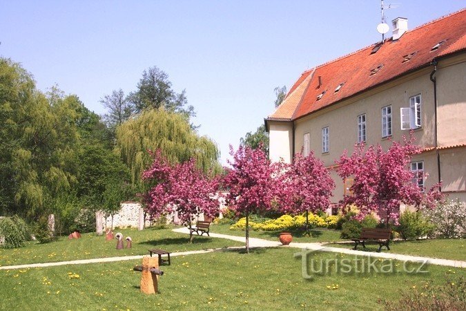 Dormitory garden