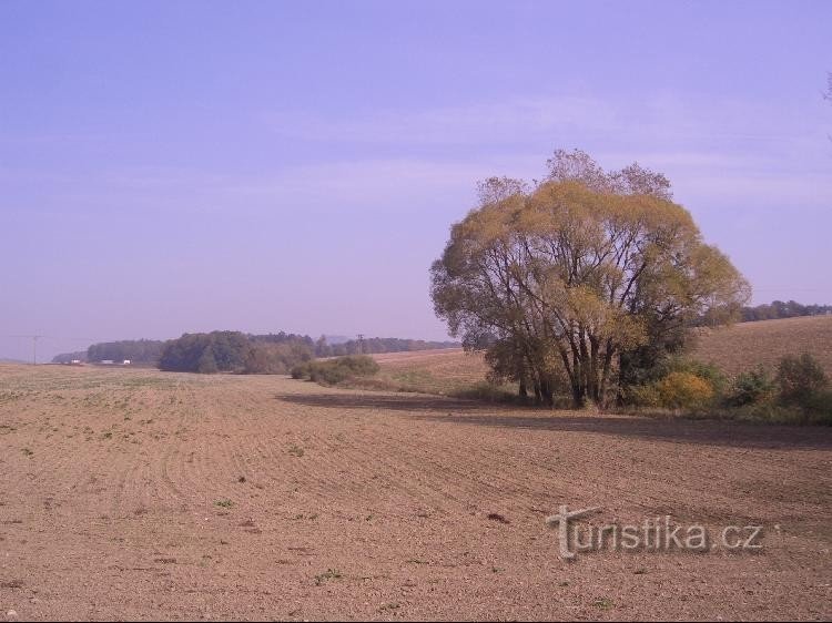 În jurul patului Jasenka lângă Palačov - în amonte