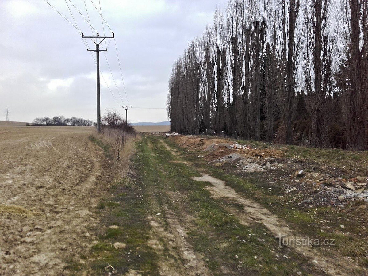 Вокруг городского кладбища