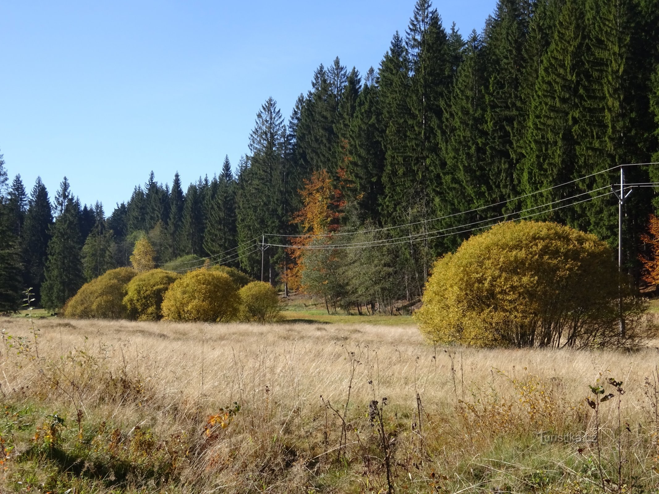 around wetlands