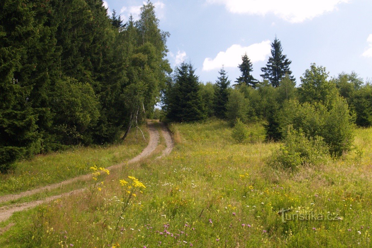 ROND DE ŚLEZSKÁ HARTA DAM NAAR DE VULKANEN JESENICKÉ