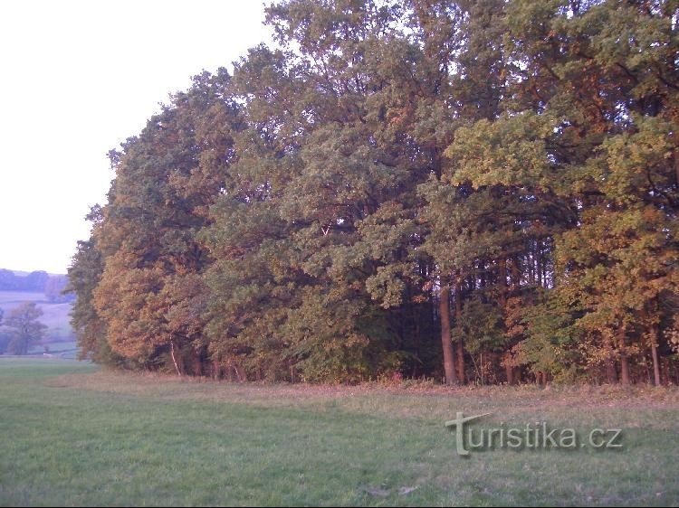 rond de reservering naar de weg