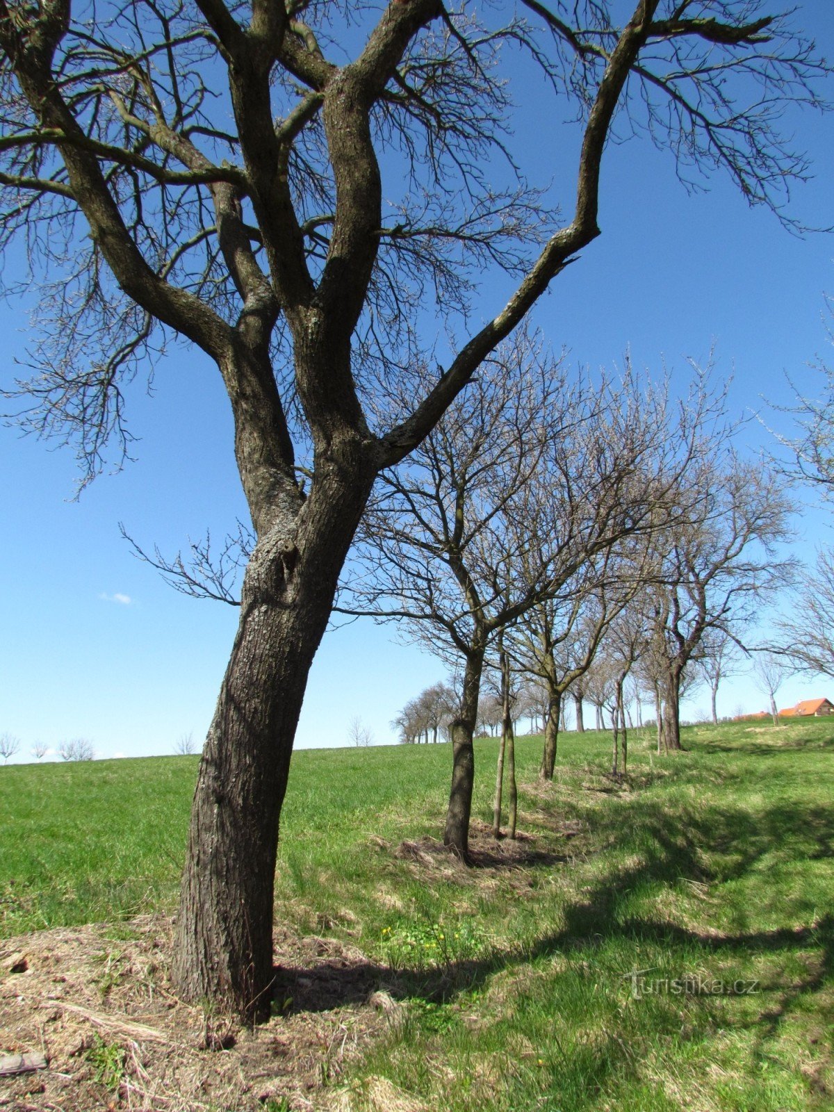 围绕 Slušovice 大坝到 Kašava