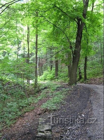 Koliba - uitzicht vanaf de weg vanaf Frenštát: Koliba - uitzicht vanaf de weg vanaf Frenštát