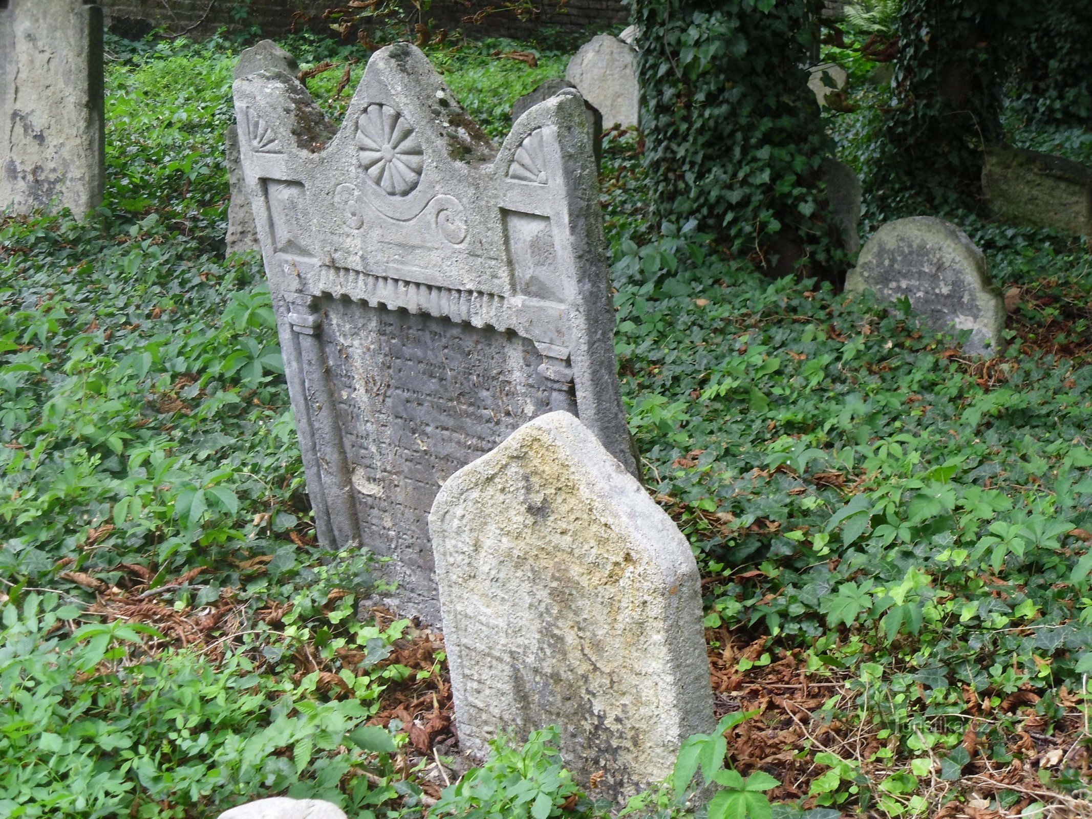 Cologne - cimetière juif