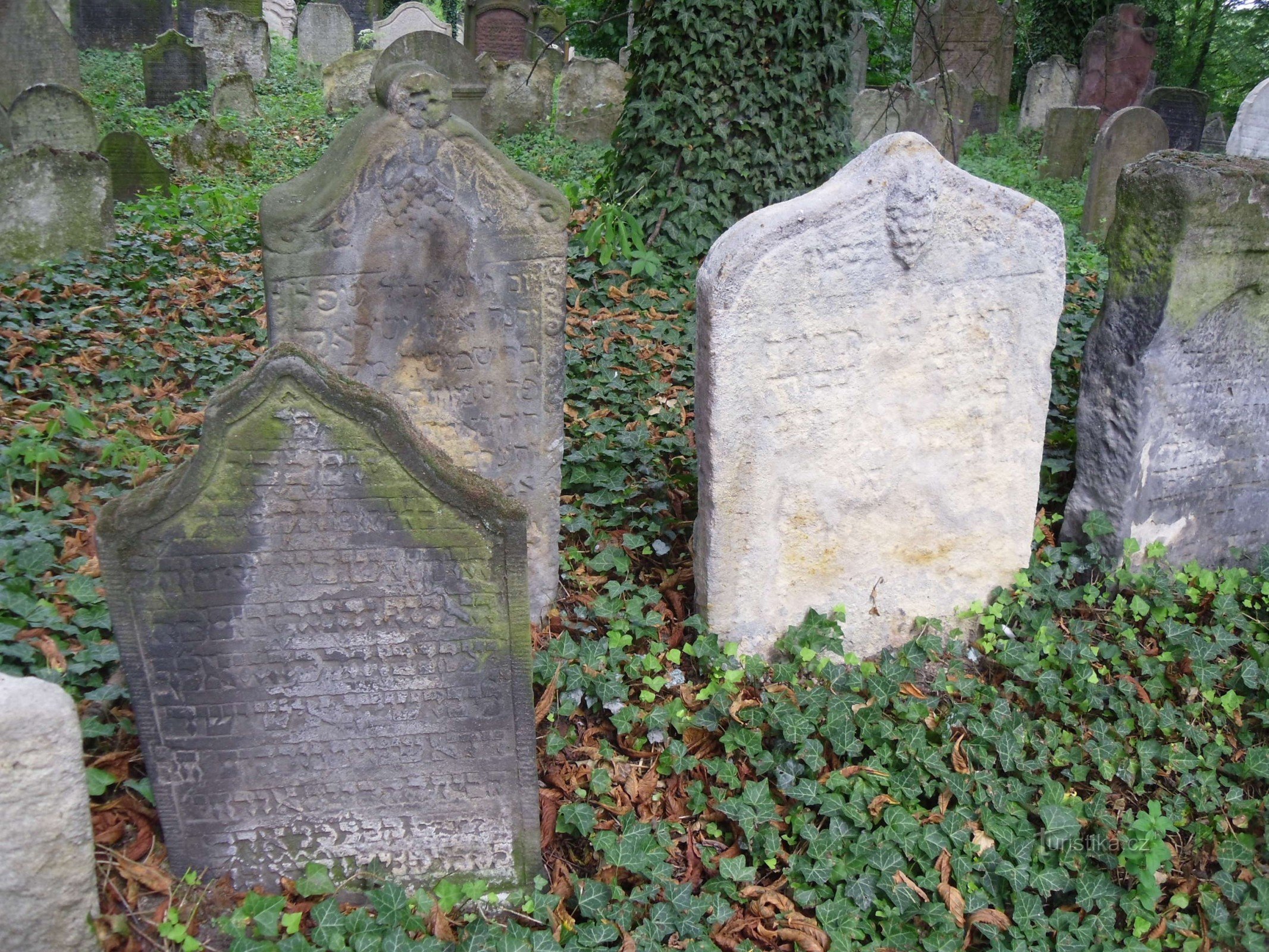 Cologne - cimetière juif