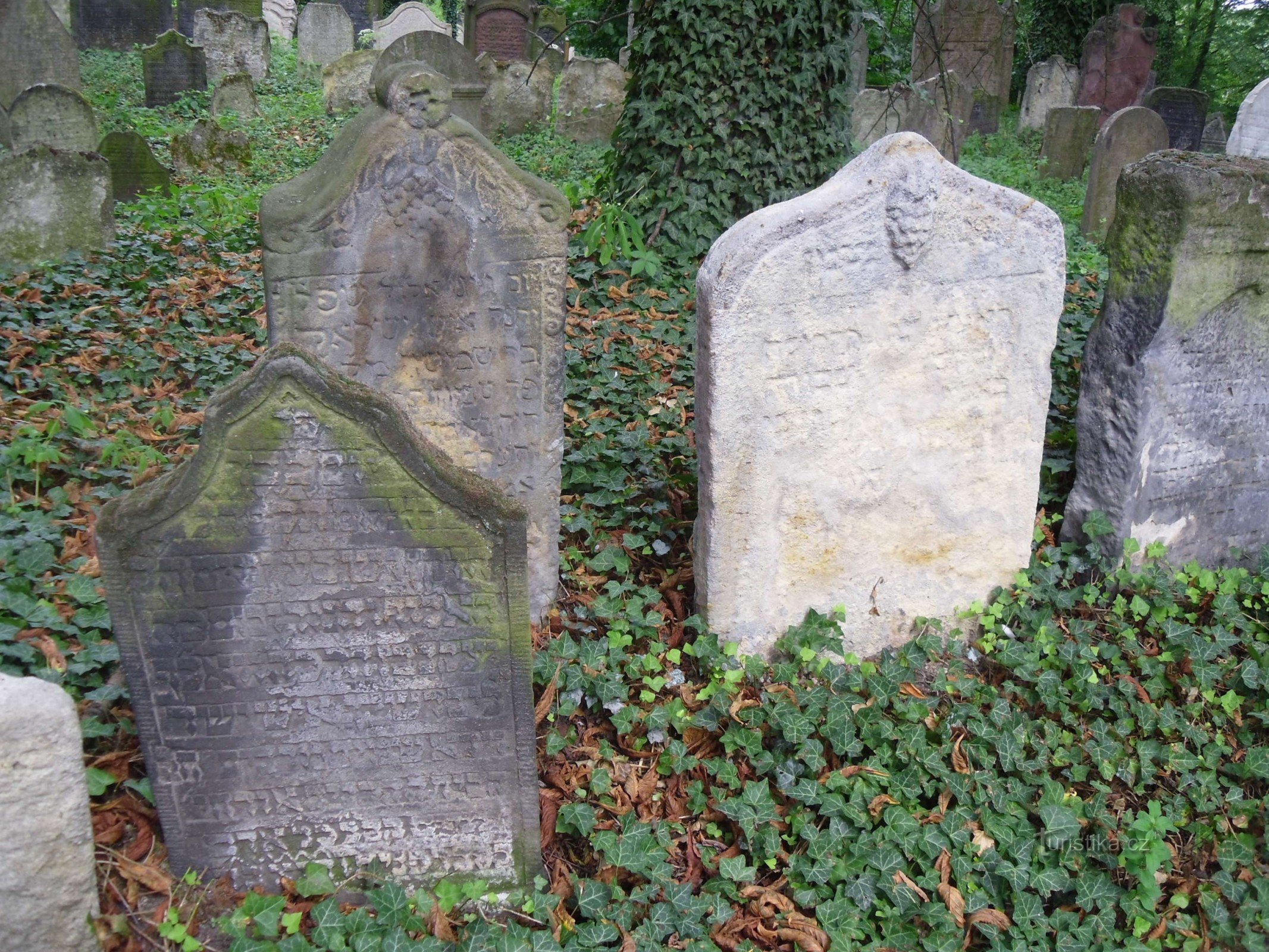 Köln - jødisk kirkegård