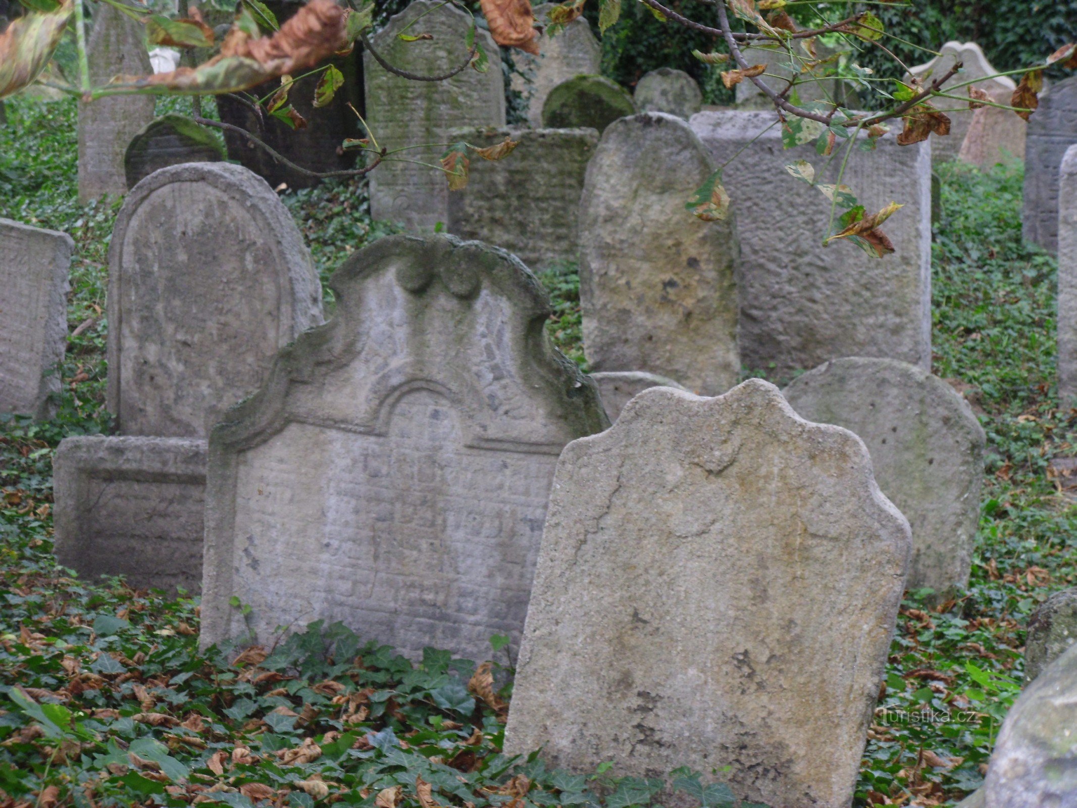 Κολωνία - Εβραϊκό νεκροταφείο