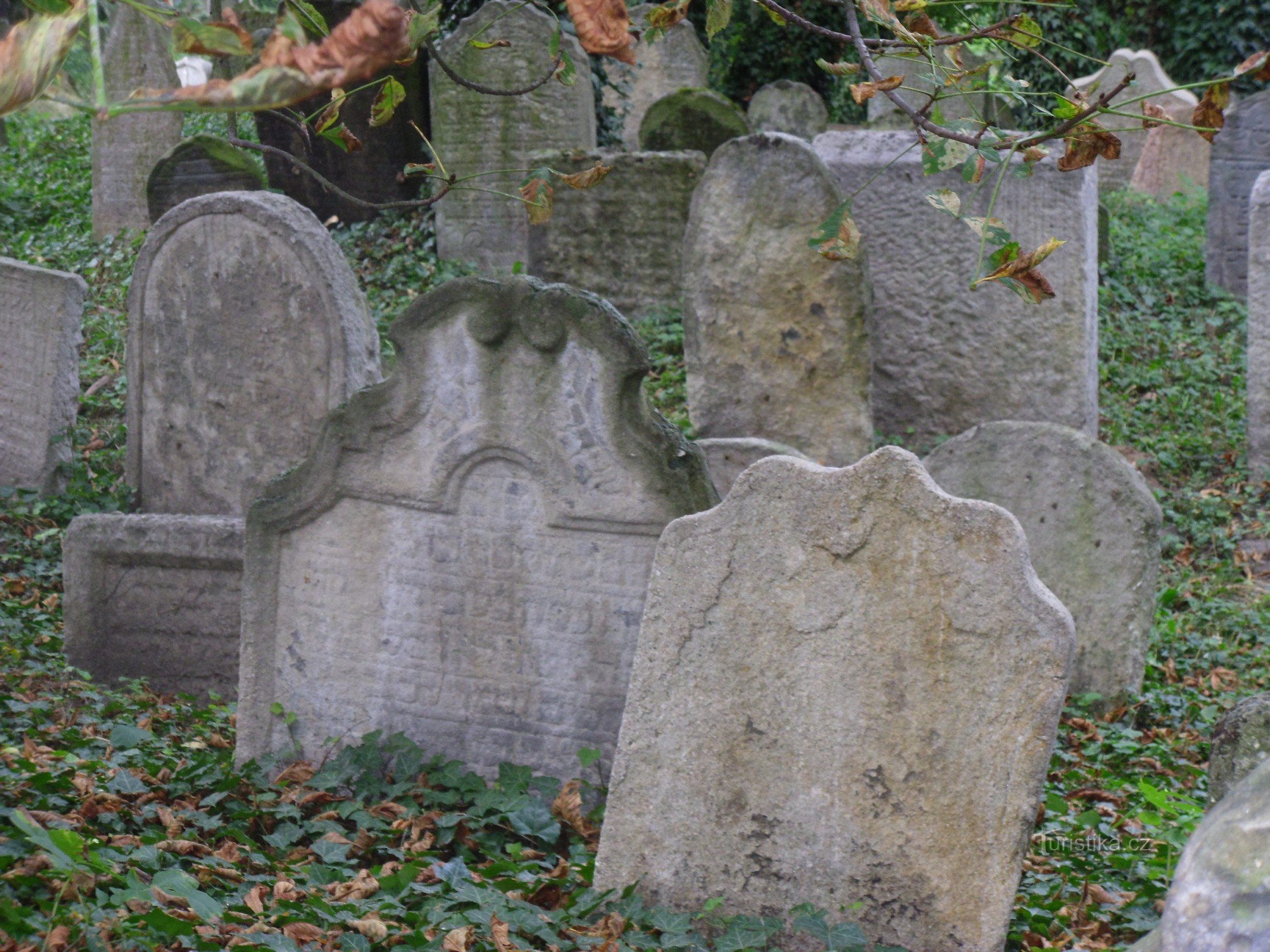 Cologne - cimetière juif