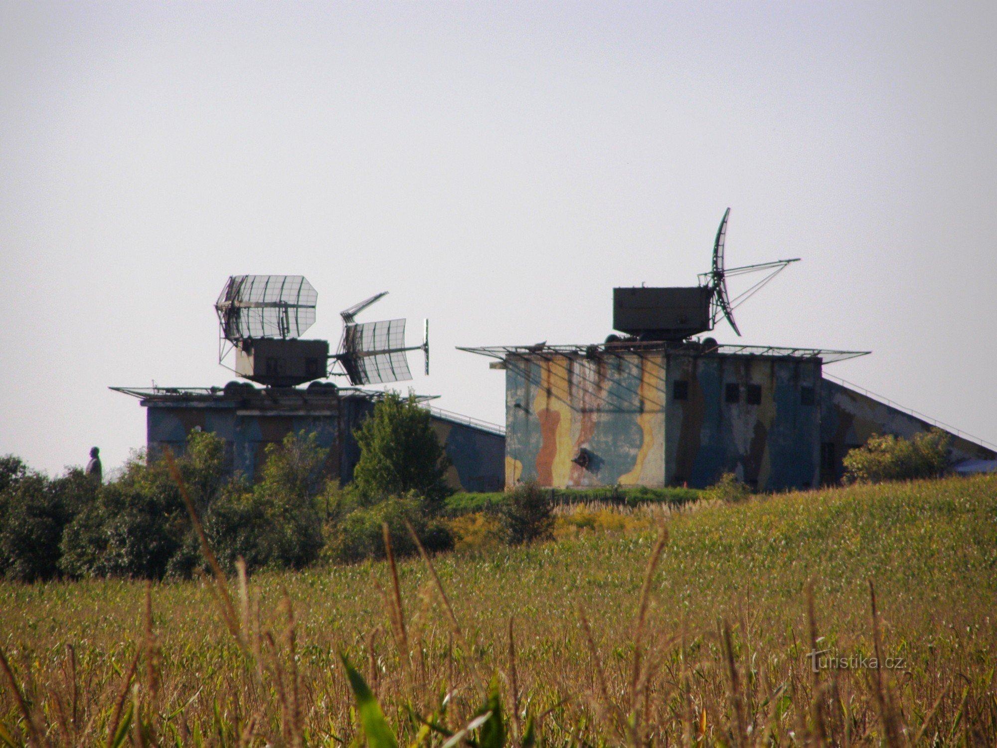 Moustique près de Rusek