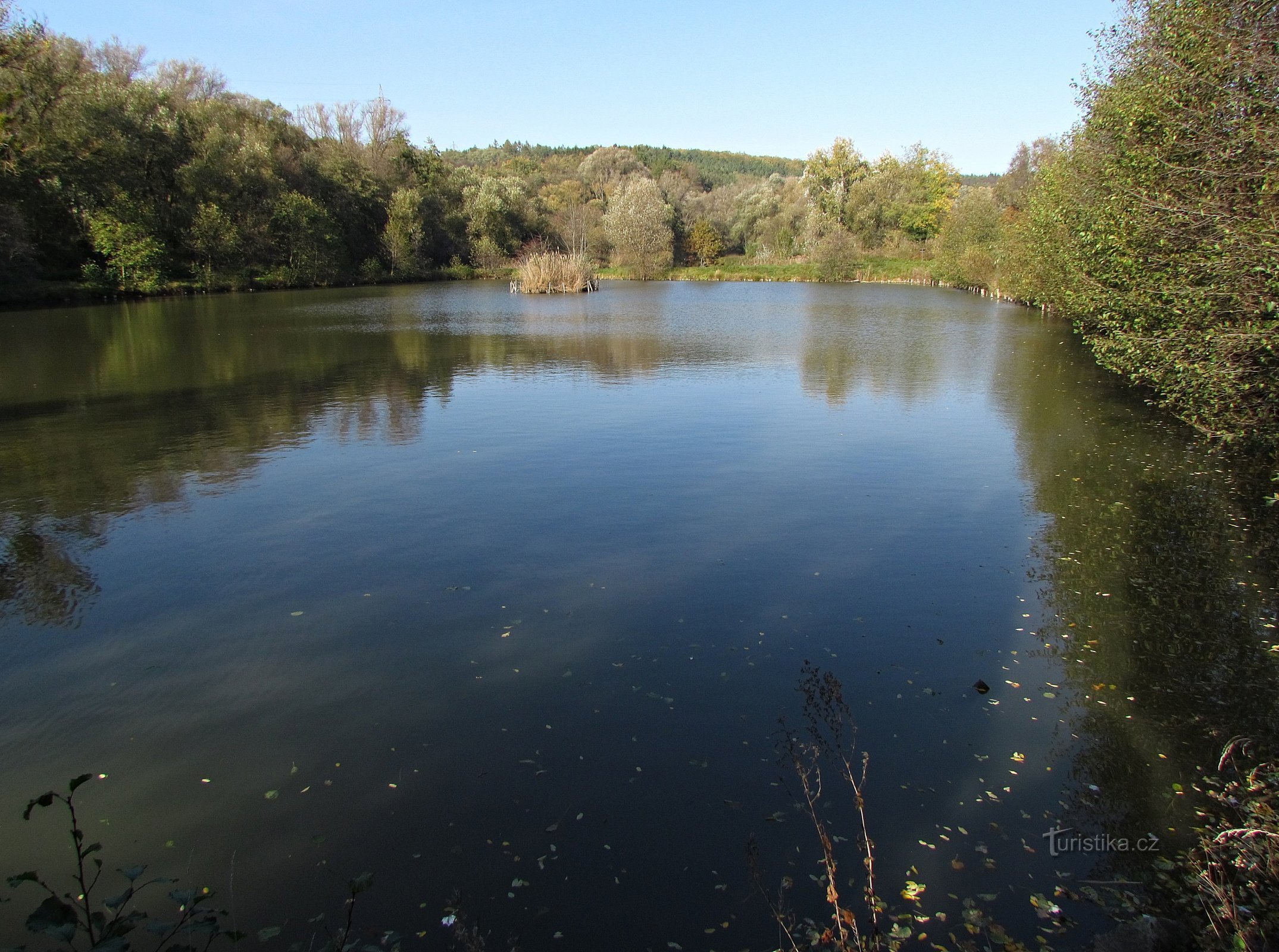 Komárovské ponds