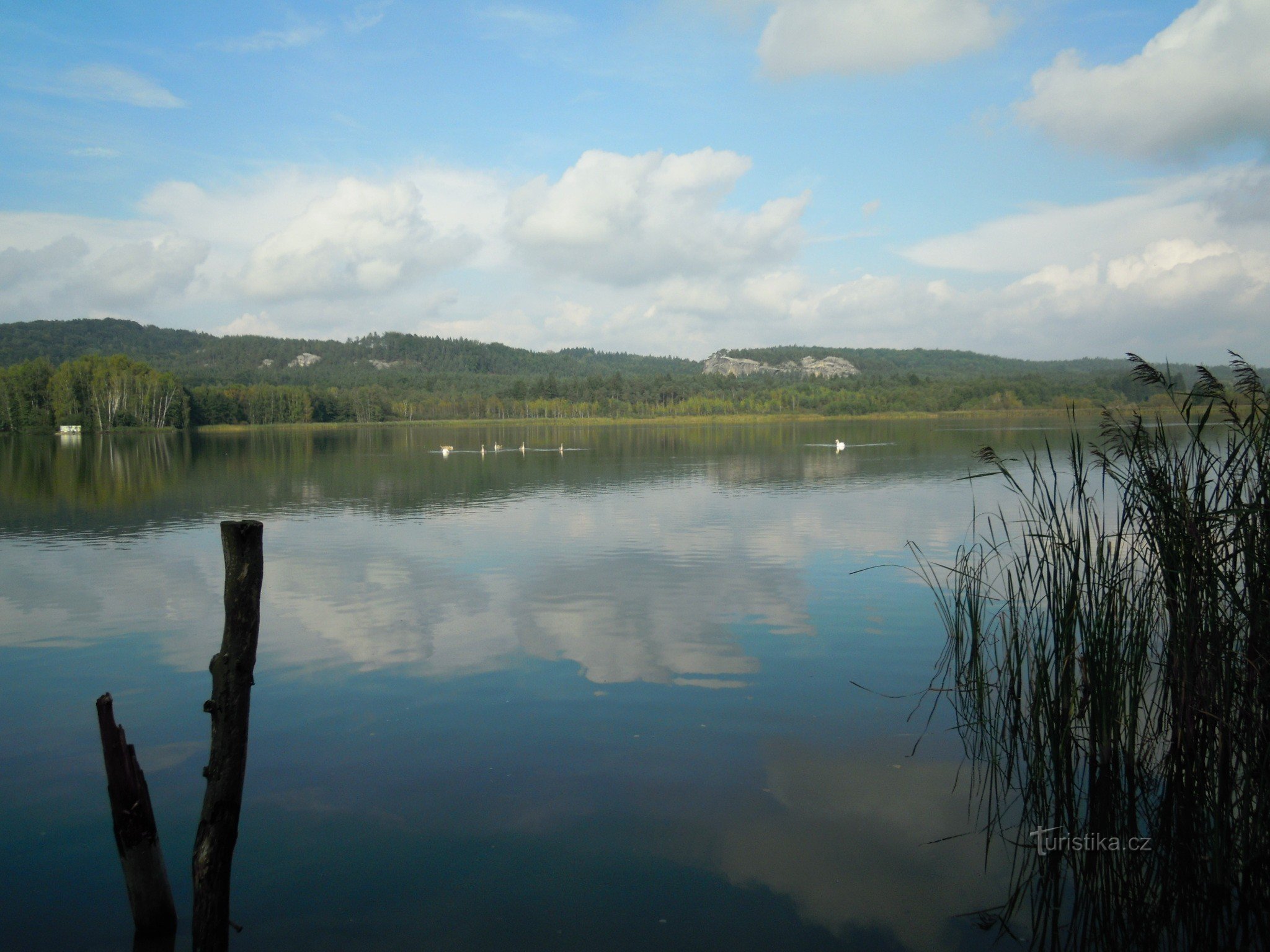 Комаровський ставок