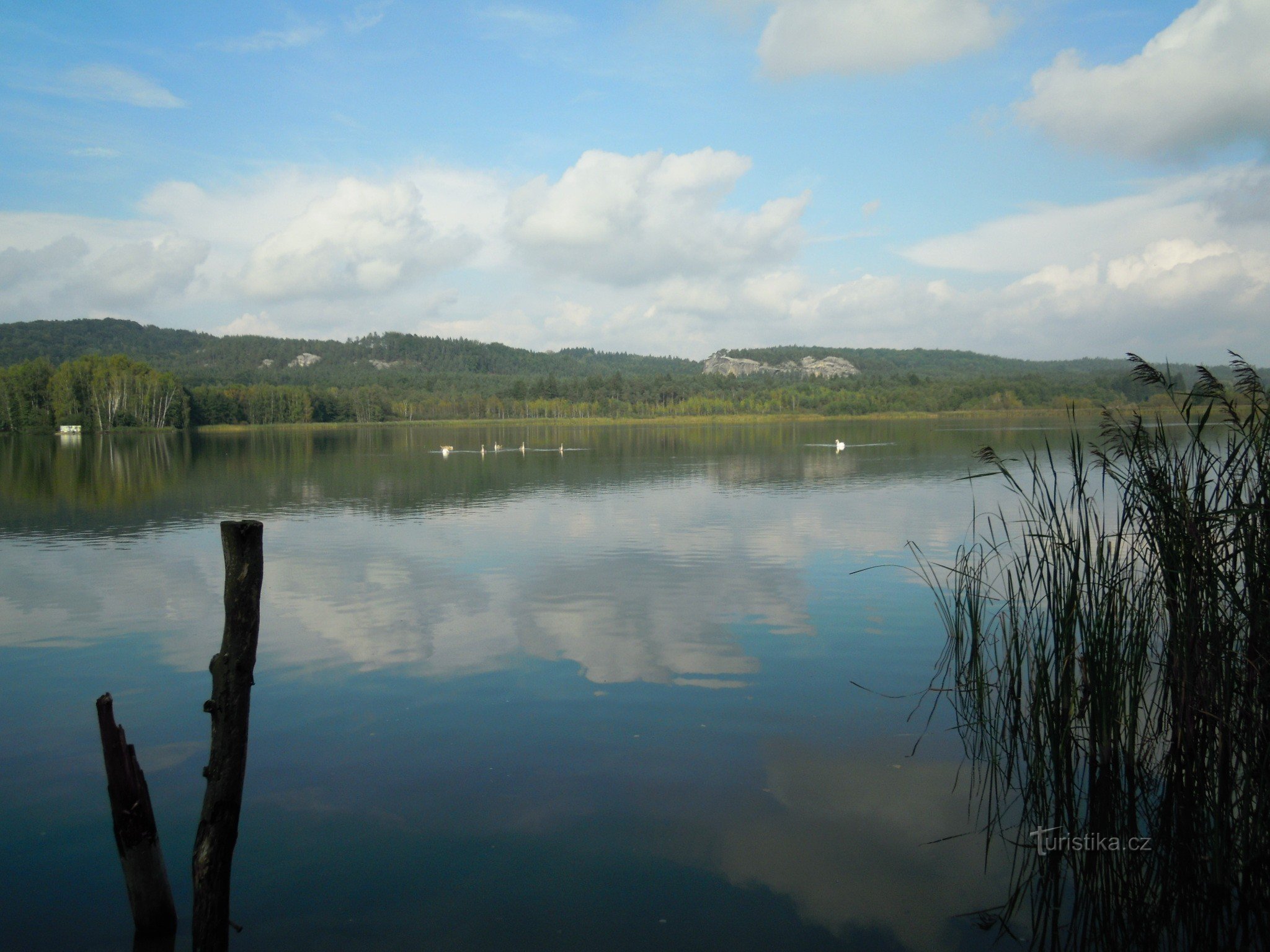 Komárovský rybník