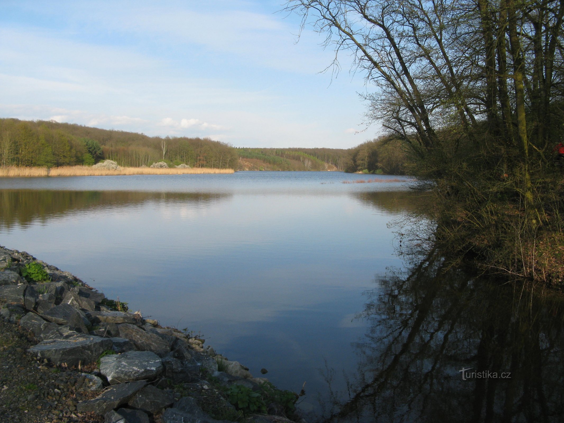 Komárovský-vijver bij Svídnice in Nymburk