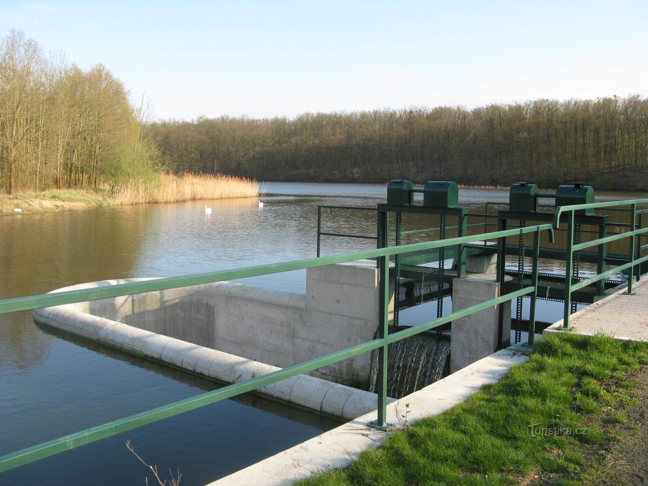 Lagoa Komárovský perto de Svídnice em Nymburk