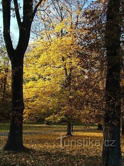 Jardin Coménius