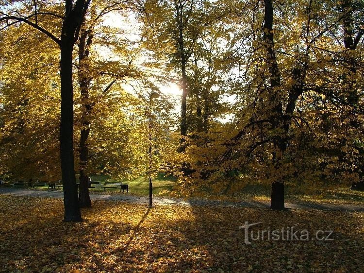 Jardin Coménius