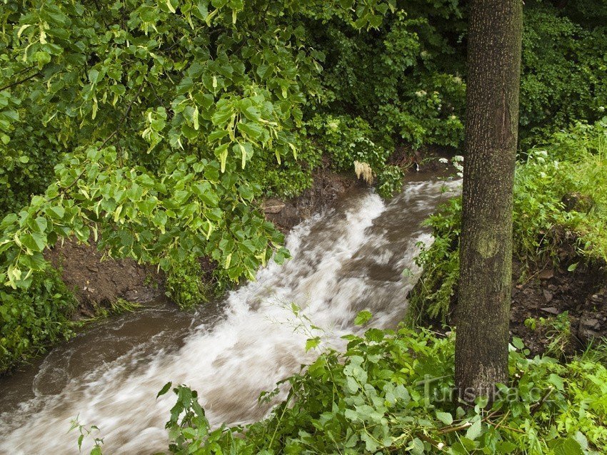 At the end of June 2009, it rained in Jesenice