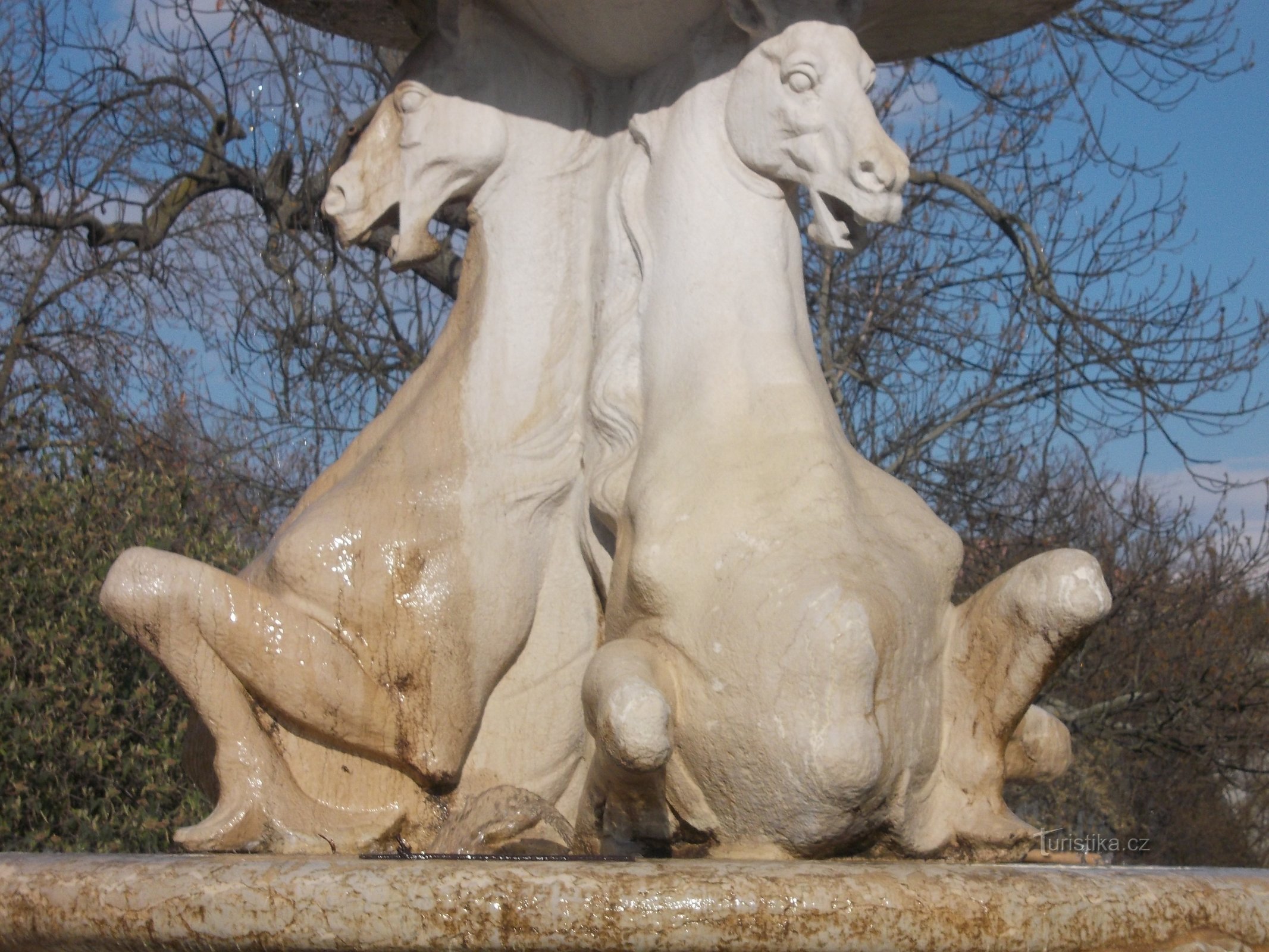 paarden, volgens hen heeft de fontein zijn naam