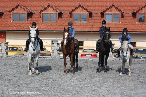 Vysoka paardenboerderij