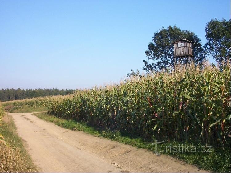 Kopanina - gestellt+Wegweiser: Blick auf Kopanina aus Richtung Bohučovice vršák