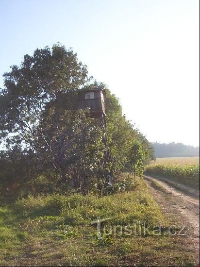 Kopanina - signpost on the perch: Kopanina - view from the direction of Vršovice hájenka