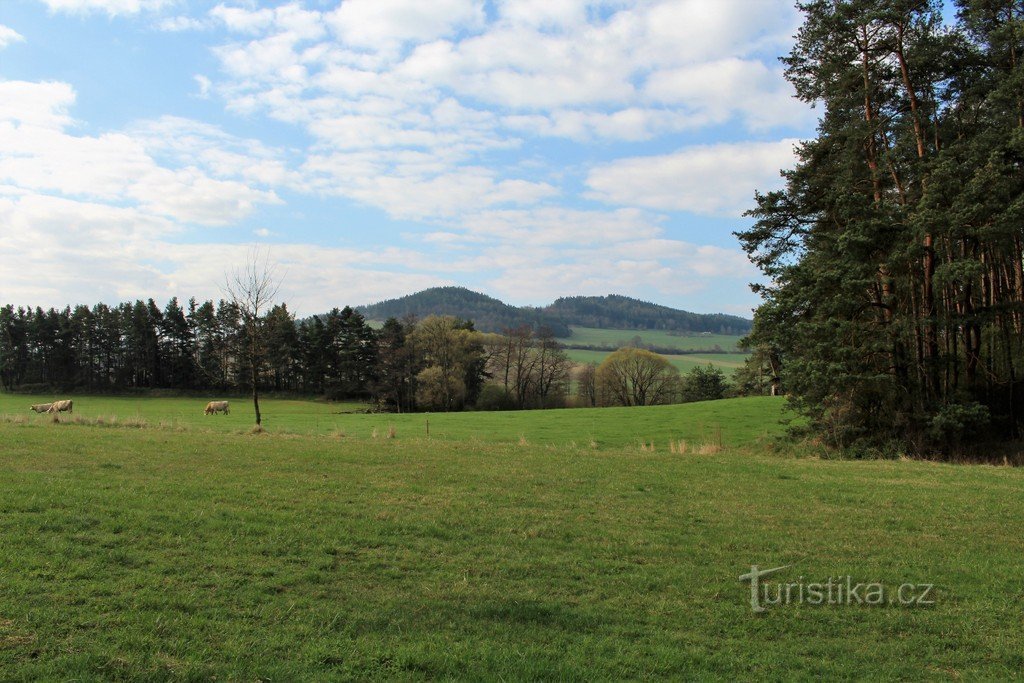 Vrch and Džbán hills