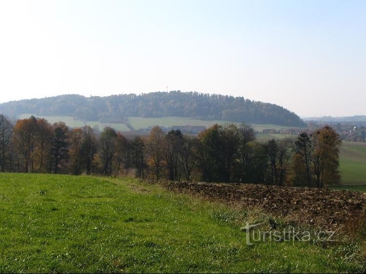 Dealul Hůrka văzut din Bernartic nad Odra
